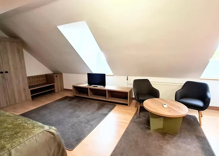 Arany Barany מלון 3*